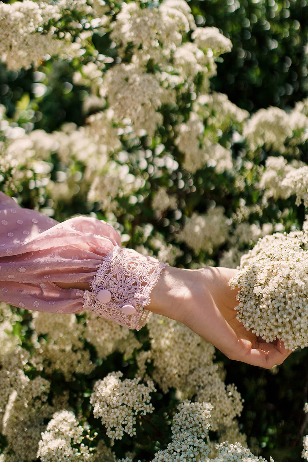 Dotty – short evening dress seen from the back.